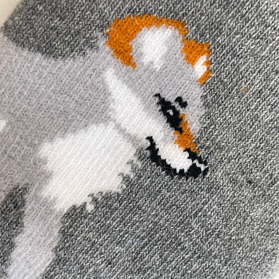 Wolf Gift Set - Socks Close Up