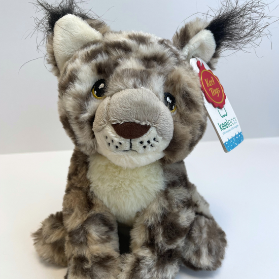 Kids Lynx Gift Set – Hoegr